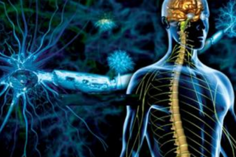 Nguyên nhân và dấu hiệu rối loạn hệ thần kinh thực vật
